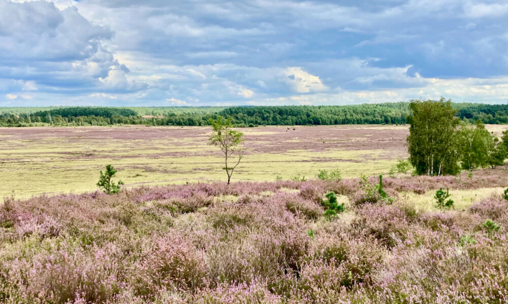 Trailwochenende Südheide